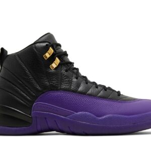 Air Jordan 12 'Black' CT8013-057