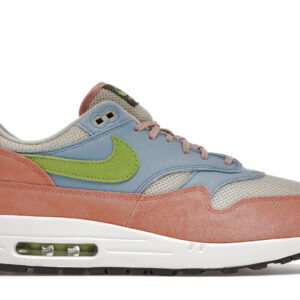 Nike Air Max 1 'Light Madder Root' DV3196-800