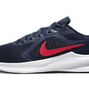 Nike Downshifter 10 Blue Red CI9981-400 Nicesnk