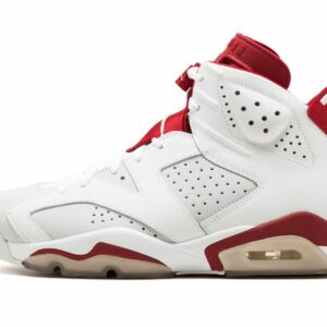 Air Jordan 6 Retro "Alternate"