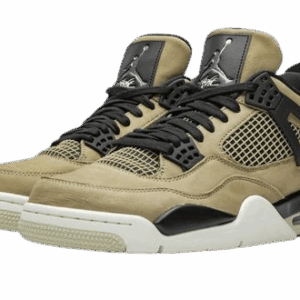 Jordan 4 Mushroom